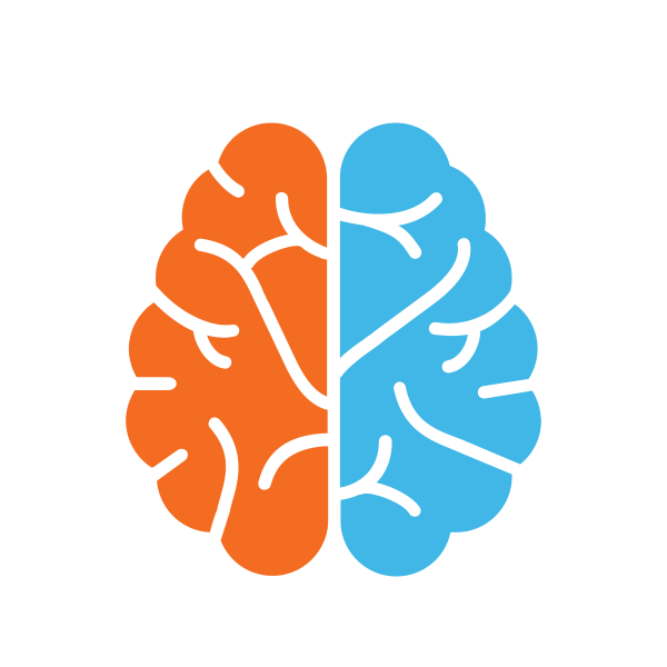 Brain hemispheres icon