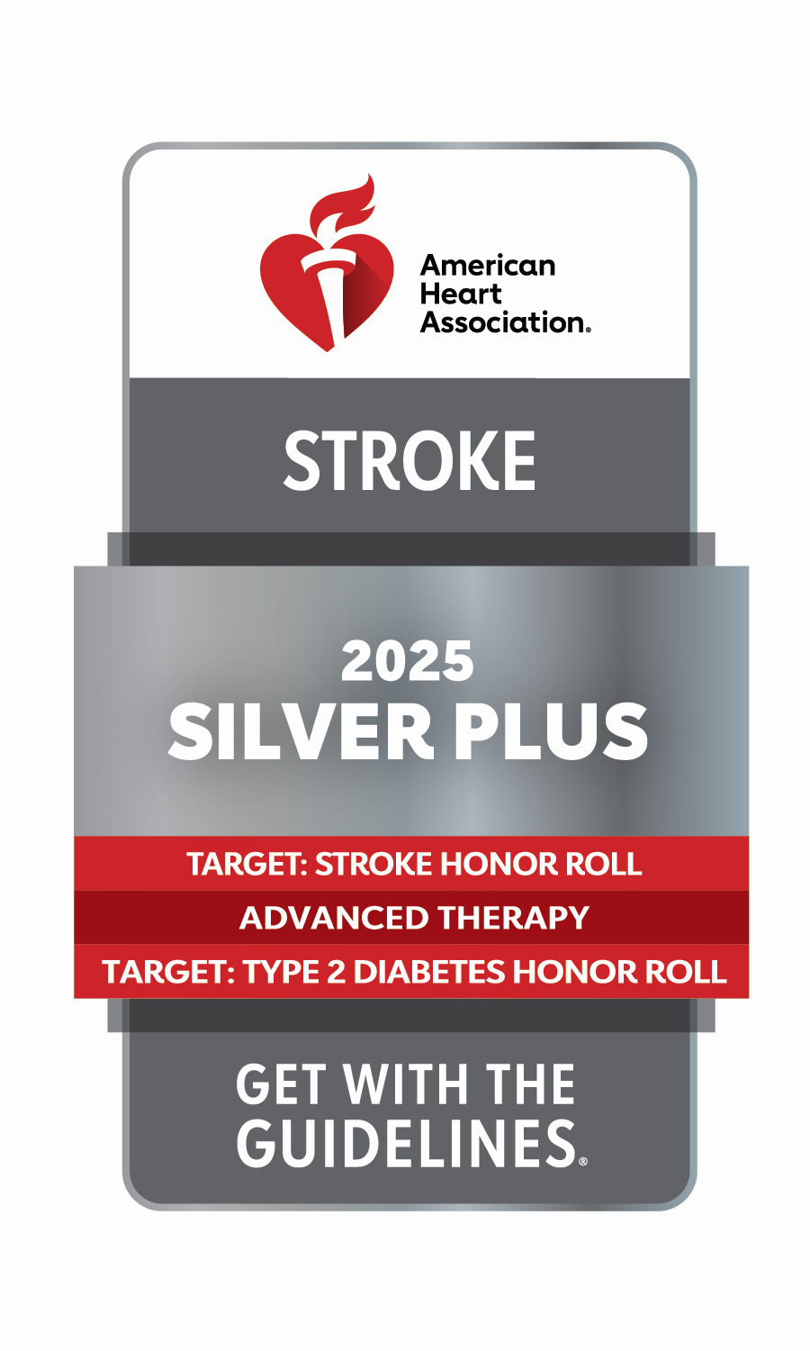 Stroke Center Silver Plus Award icon