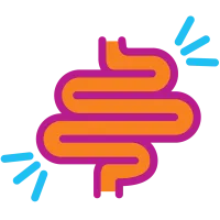 Artistic rendering of large intestines icon