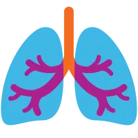 Icon of human lungs