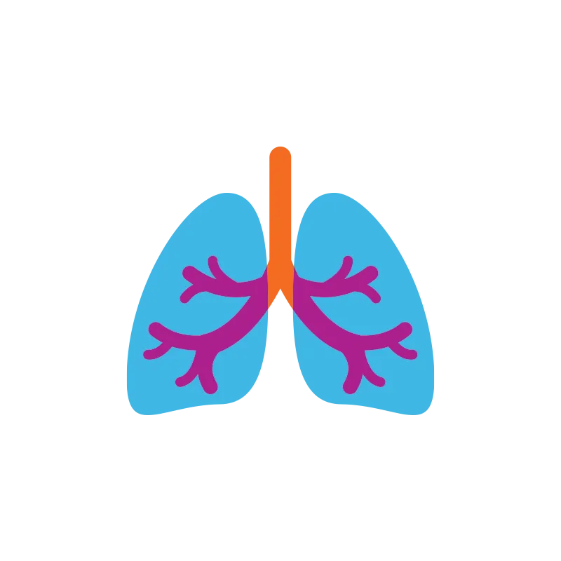 Icon of human lungs