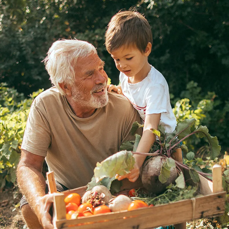 Photo of elderly man and his grandson looking through a basket of vegetables
